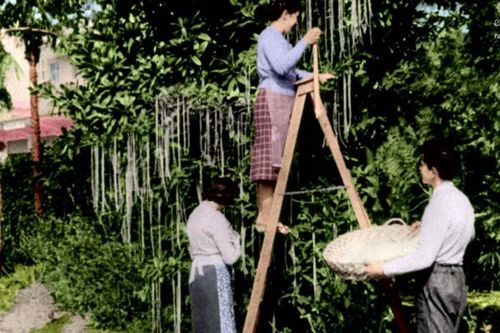 Những cú lừa 'kinh thiên động địa' trong lịch sử ngày Cá tháng Tư