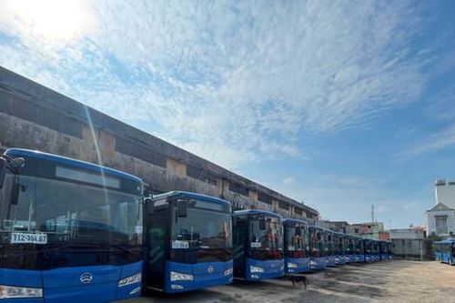 Thành phố Hồ Chí Minh đồng loạt đưa các tuyến xe buýt mới hoạt động