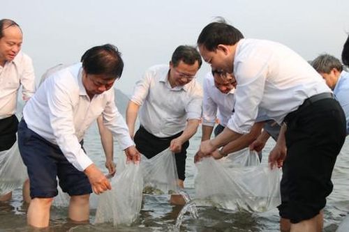 Nuôi biển phải cân bằng giữa nhu cầu con người và giữ gìn tài nguyên