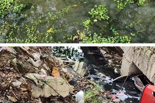 Dự án hơn 100 tỷ dang dở, gây ô nhiễm môi trường