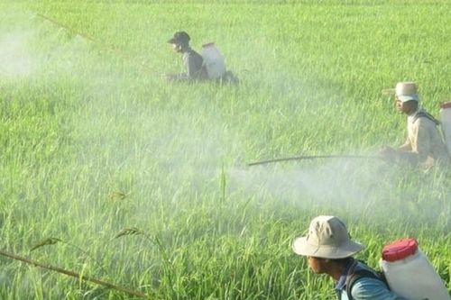 'Chìa khóa' thúc đẩy nông nghiệp xanh