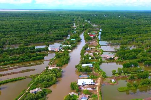 Mô hình 'con tôm ôm gốc đước' ở Cà Mau: Thích ứng biến đổi khí hậu
