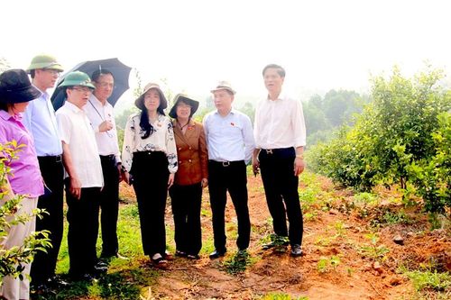 Đoàn công tác của Quốc hội giám sát việc triển khai thực hiện Dự án Hồ chứa nước Bản Mồng