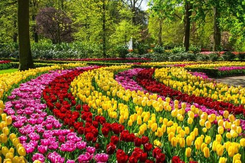 Những địa điểm ngắm hoa Xuân đẹp nhất châu Âu
