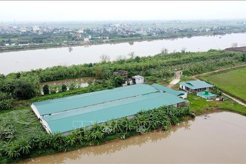 Vi phạm đê điều tại Thái Bình - Bài cuối: Gắn trách nhiệm người đứng đầu trong xử lý vi phạm