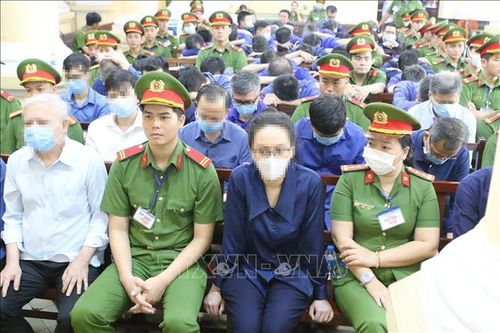 Xét xử sơ thẩm vụ án Vạn Thịnh Phát: Các bị cáo tích cực khắc phục hậu quả