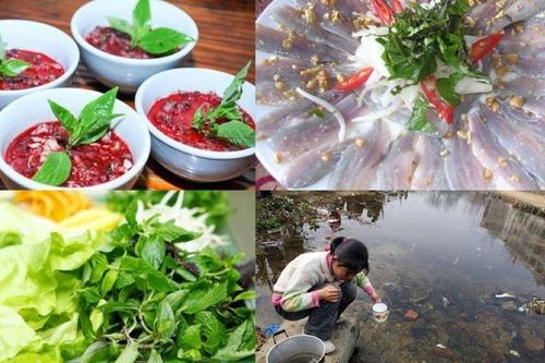 Nạp hàng nghìn ký sinh trùng khi ăn những loại thực phẩm này