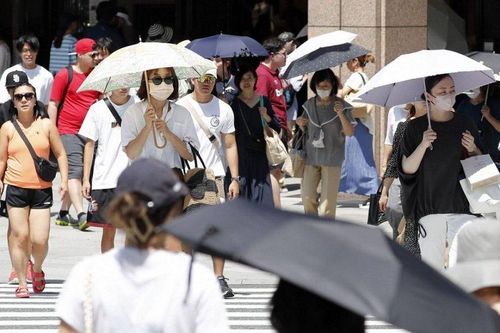 Thủ đô Tokyo ghi nhận nhiệt độ cao kỷ lục trong tháng 3