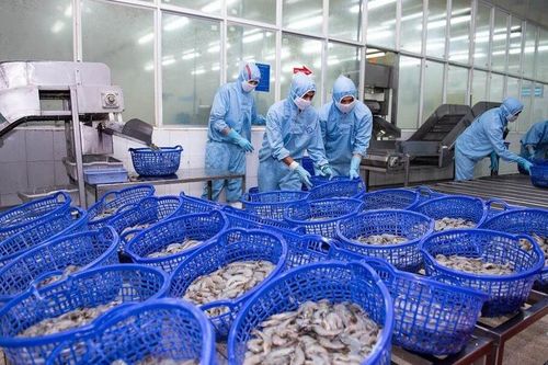 Sao Ta thu về khoảng 1.200 tỷ đồng trong quý I/2024