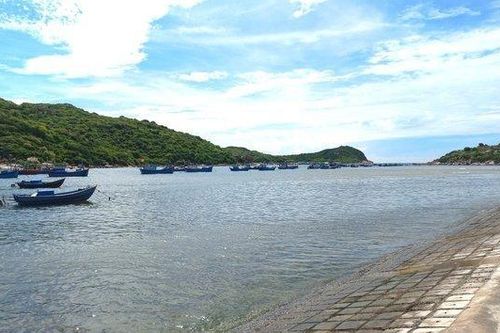 Ninh Thuận: Xử lý nghiêm các trường hợp sai phạm khu vực vịnh Vĩnh Hy