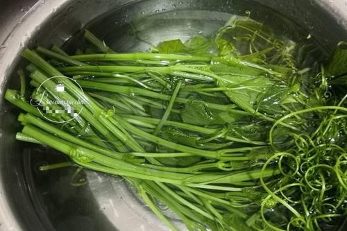 Vào những ngày nắng nóng, món này rất được ưa chuộng, vị vừa ngon vừa giòn, chuẩn bị cho bữa tối thì tuyệt vời!