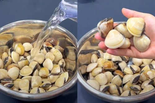 Ngâm ngao đừng dùng nước lã, thêm loại gia vị này, ngao nhả sạch cát trong phút chốc, không mất nhiều thời gian