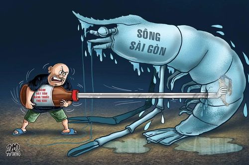 Đánh bắt tận diệt đang đầu độc nguồn nước của TPHCM