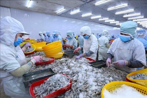 Hoa Kỳ kết luận sơ bộ vụ điều tra chống trợ cấp tôm nước ấm đông lạnh từ Việt Nam