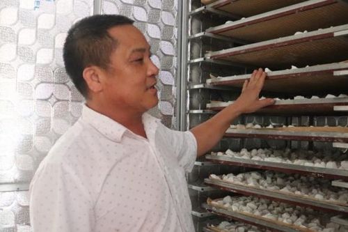 'Chắp cánh' thương hiệu sắn dây Hải Dương vươn ra toàn cầu