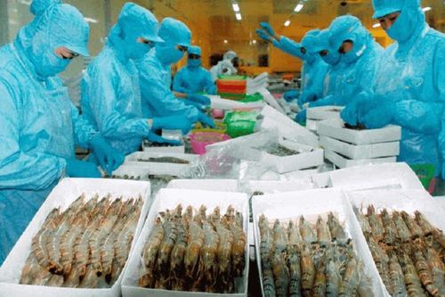 Hoa Kỳ áp thuế chống trợ cấp sơ bộ 2,84% đối với tôm nước ấm đông lạnh từ Việt Nam