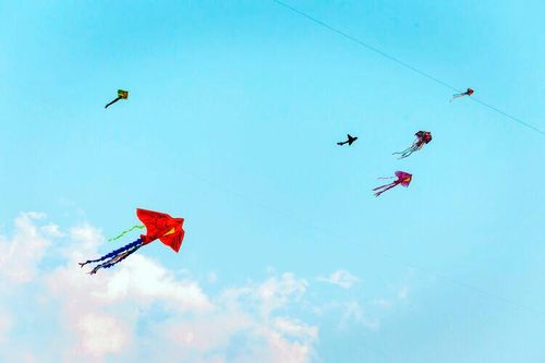 Lúc 8 giờ, ngày 7/4, diễn ra Hội thi thả diều truyền thống xã Bình Mỹ năm 2024