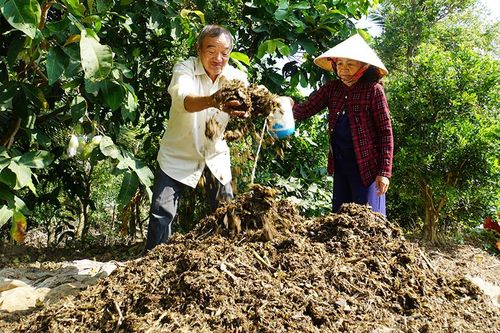 Nông dân xã An Nhơn tái chế rác thải hữu cơ, phụ phẩm nông nghiệp làm phân bón