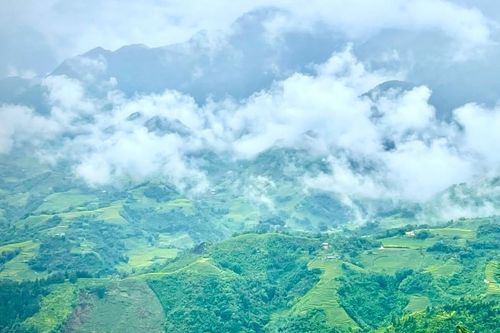 Triển khai công bố hiện trạng rừng tỉnh Lào Cai năm 2023