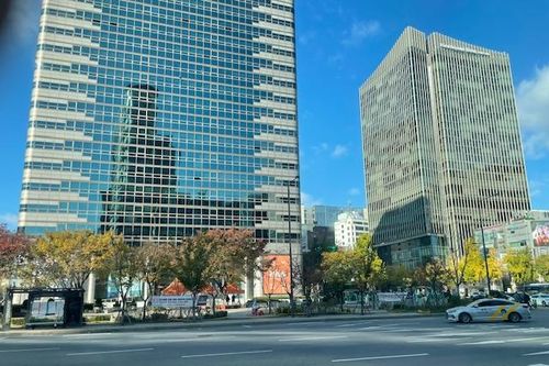 Seoul - mùa hoa ngân hạnh