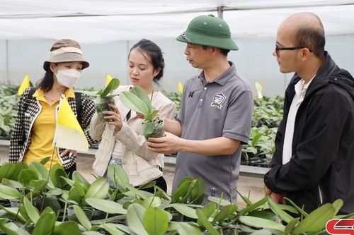 Đẩy mạnh nghiên cứu, ứng dụng khoa học và công nghệ