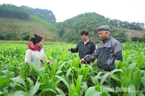 Người xây niềm tin