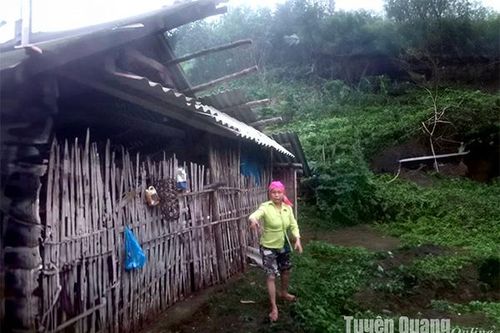 Mưa đá ảnh hưởng 20 nhà dân ở Hồng Quang