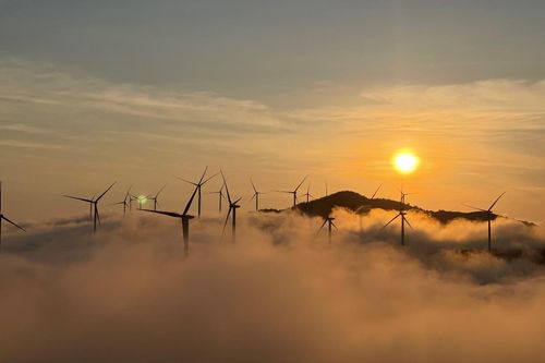 Khám phá những cánh đồng điện gió đẹp nhất Việt Nam