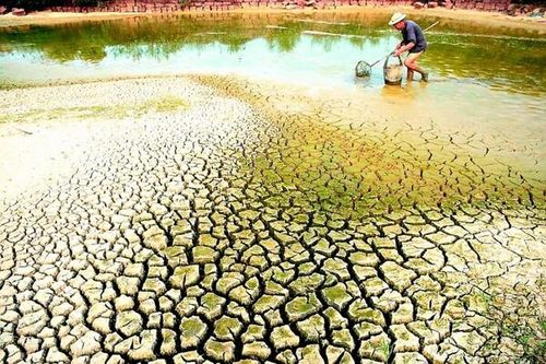 Không để người dân ĐBSCL thiếu nước sinh hoạt