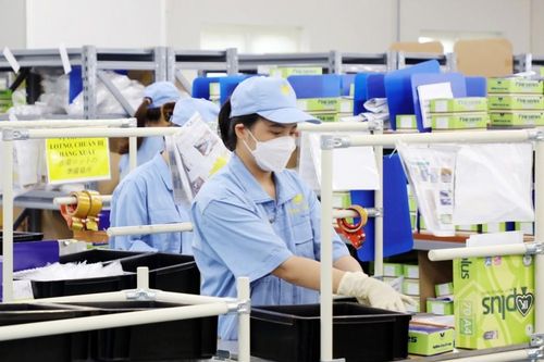 Việt Nam tăng trưởng 5,5% - vẫn thấp hơn tiềm năng