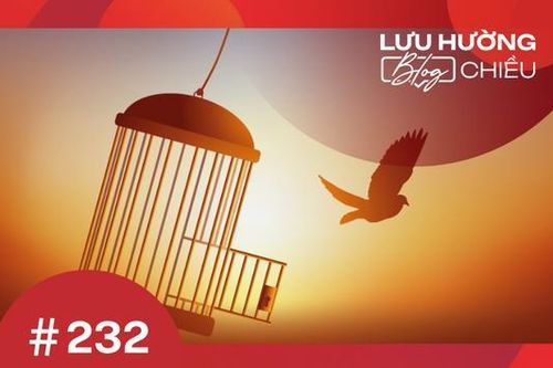 Bay khỏi cánh cửa lồng tự khóa