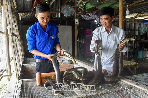 Hội viên, đoàn viên phấn đấu vào Ðảng