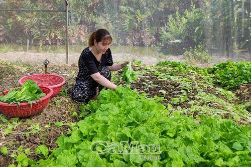 Tăng thu nhập từ vốn chính sách