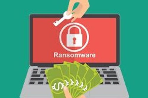 Lực lượng kỹ thuật đang khắc phục sự cố tấn công ransomware vào hệ thống PVOIL