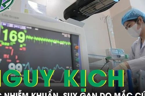 Bé sơ sinh nguy kịch, sốc nhiễm khuẩn, suy hô hấp độ 3 do mắc cúm A kèm rối loạn axít béo