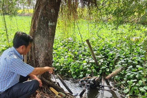 Không 'xé rào' vụ Hè Thu