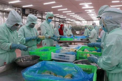 Cầu nối giúp doanh nghiệp Canada thâm nhập thị trường Ấn Độ Dương-Thái Bình Dương
