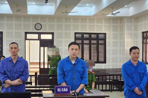 35 năm tù giam cho nhóm đối tượng 'nhập lậu' 5 container dược liệu