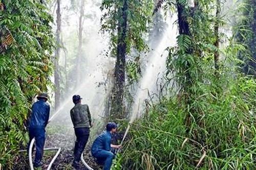 Cà Mau căng mình canh 'giặc lửa' giữ rừng