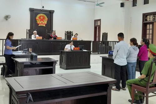 Dì ruột kéo vợ chồng cháu gái vào vòng lao lý