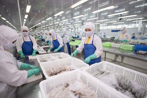 Mục tiêu lợi nhuận 320 tỷ, Thực phẩm Sao Ta làm ăn sao?