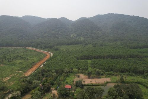 Hàng trăm cảnh sát bao vây khu rừng truy bắt phạm nhân trốn trại tại Thanh Hóa