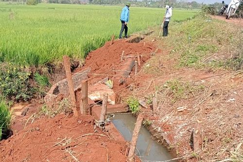 Khởi tố vụ án nâng khống khối lượng thi công dự án thủy lợi ở huyện Lắk