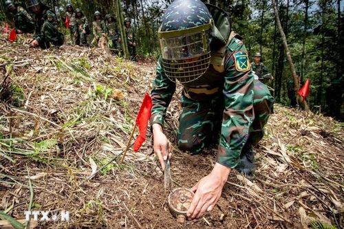 Việt Nam hướng tới mục tiêu không còn thương vong do tai nạn bom mìn