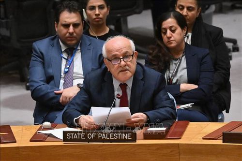 Palestine muốn trở thành thành viên đầy đủ của LHQ trong tháng 4