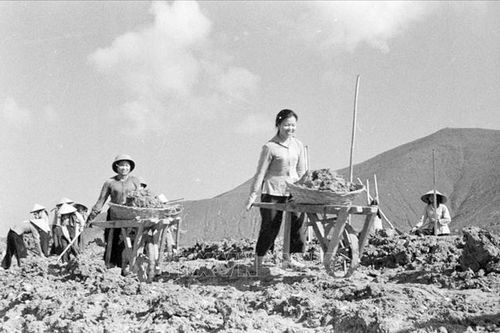 Đề xuất chính sách cho thanh niên xung phong, thanh niên tình nguyện phù hợp tình hình mới