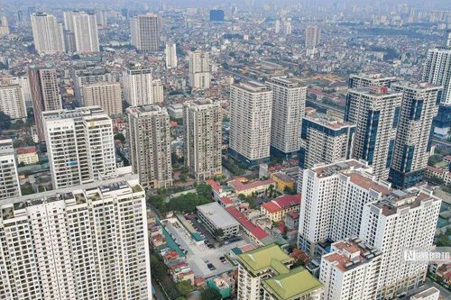 Chuyên gia: Chung cư Hà Nội tăng nhưng chưa tới mức 'ngáo giá'