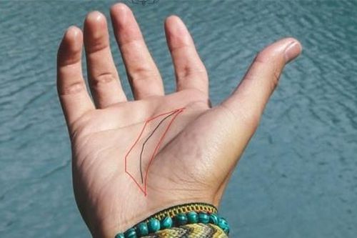 Đặc điểm của đường chỉ tay giàu sang, vận mệnh hơn người, giàu có, lắm tiền nhiều của