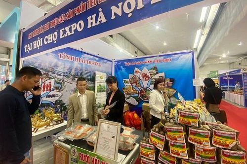 VIETNAM EXPO 2024: Dự kiến thu hút gần 500 doanh nghiệp trong và ngoài nước