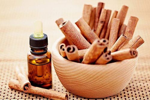 Tinh dầu quế tắc đường xuất khẩu, Hiệp hội Hồ tiêu và cây gia vị gửi kiến nghị lên Chính phủ